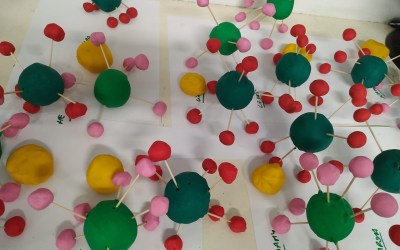 Proyecto de diseño de vacunas ¡con plastilina!