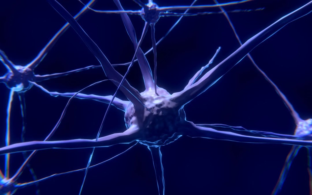 EL POTENCIAL DE LA TERAPIA CANNABINOIDE EN LAS ENFERMEDADES NEURODEGENERATIVAS
