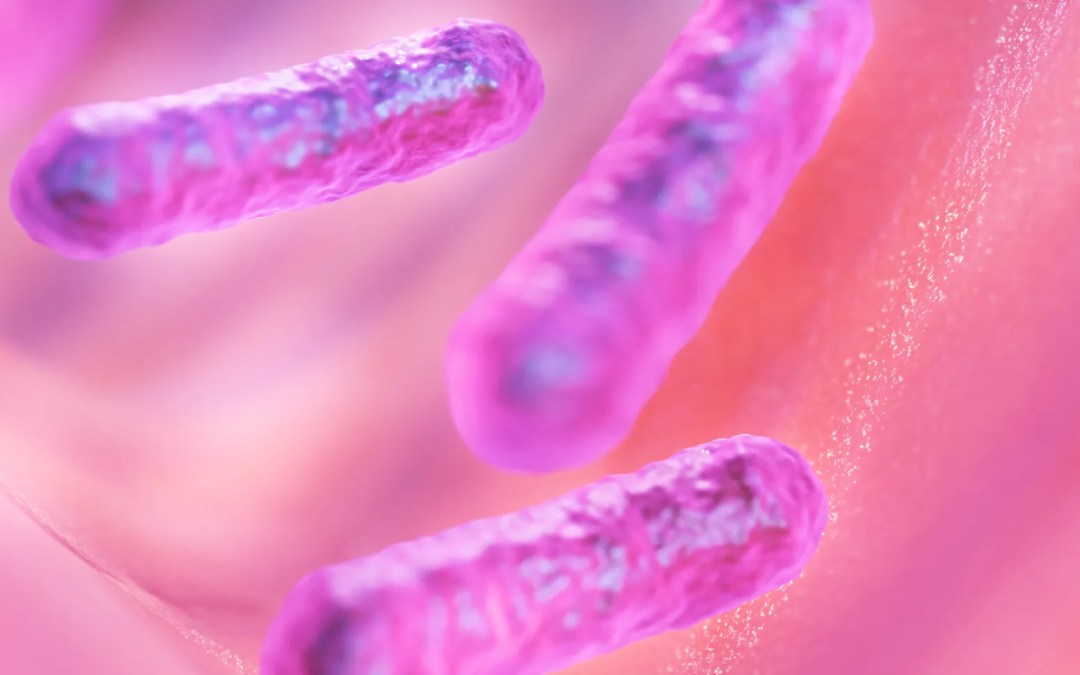 SUPERBACTERIAS: UNA AMENAZA INVISIBLE QUE NOS AFECTA A TODOS