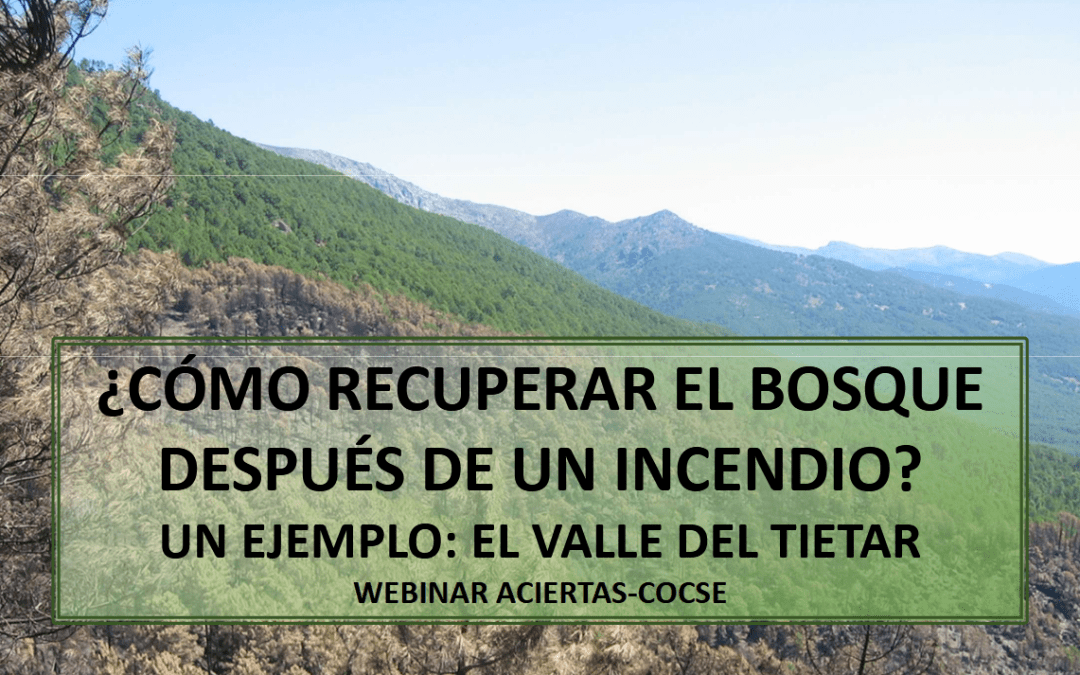 Vídeo y presentaciones: Recuperar el bosque tras un incendio