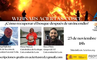 Webinar ¿Cómo recuperar el bosque tras un incendio? 25 de nov 2025 18h