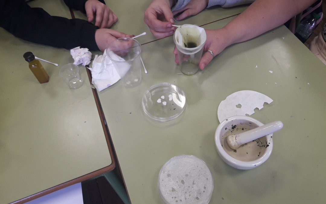 El CEIP Jesus Neira (Asturias) inaugura Del laboratorio al aula