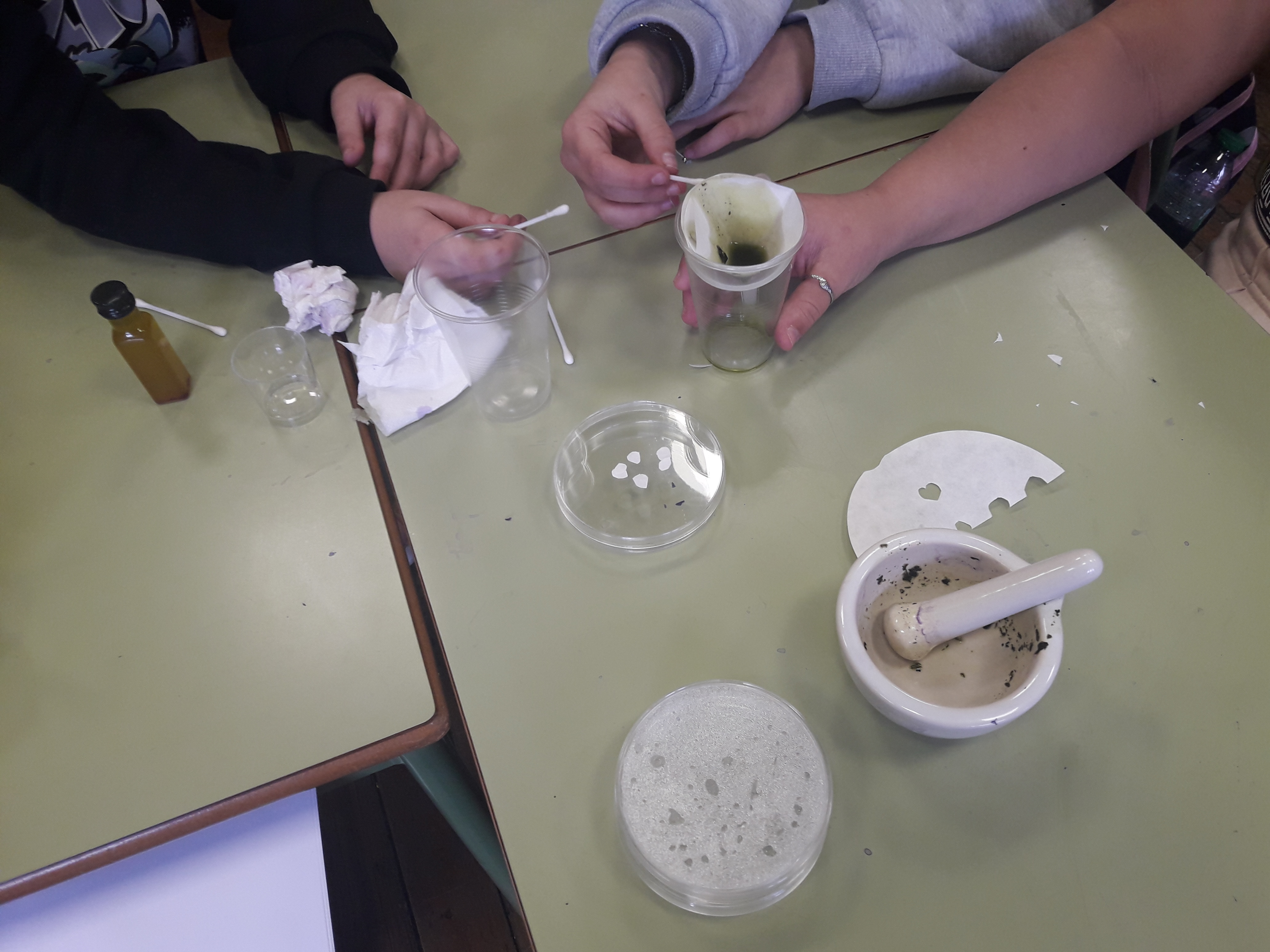 El CEIP Jesus Neira (Asturias) inaugura Del laboratorio al aula