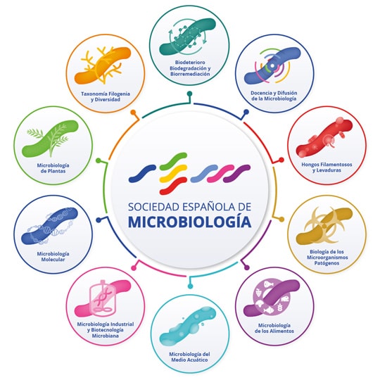La Sociedad Española de Microbiología, en nuestro próximo webinar