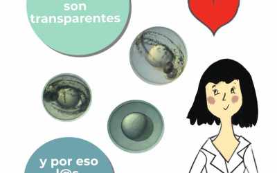 Taller gratuito para docentes: lleva un pez a tu clase