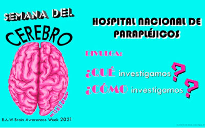Semana del cerebro 2021